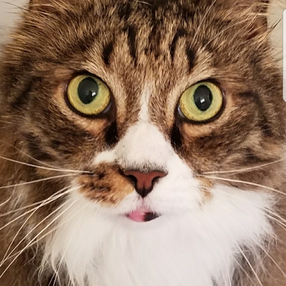 Meet the Posher - Picture 1 of 8